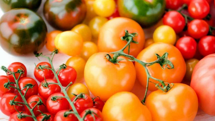 தக்காளி