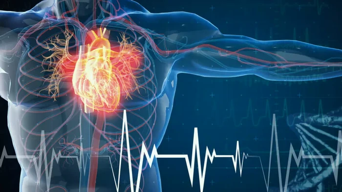 இரத்த உறைவு தடுப்பு